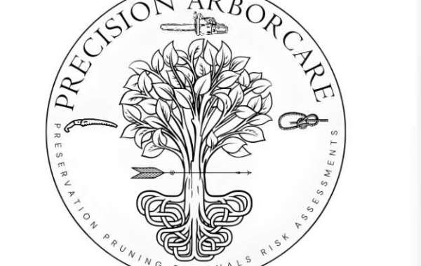 Asheville Arborist: Expert Tree Care Services in Asheville, NC