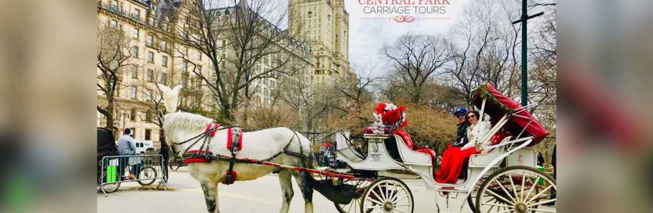 Central Park Carriage Tours Cover Image