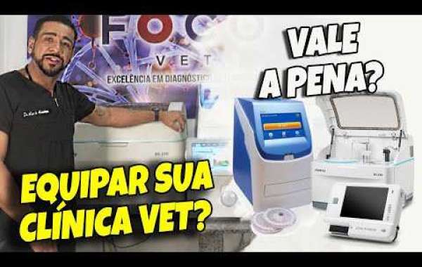 Entenda a Importância dos Testes Hormonais para a Saúde do Seu Pet