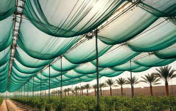 Buy Green Shade Nets in UAE – Leading Manufacturers & Exporters