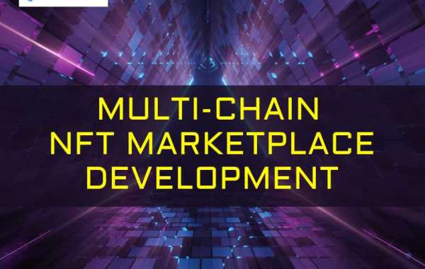 Multichain NFT Marketplace: The Future of Digital Asset Trading for Startups