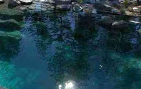 Transform Your Yard with Piscine Naturelle's Waterfall Construction Experts