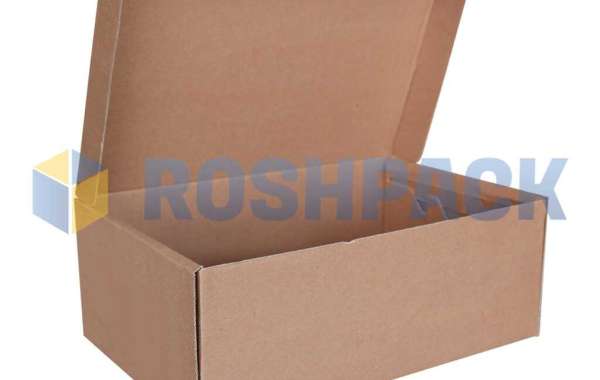 Shoe Box: A Simple Container with Endless Possibilities