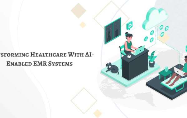 Transforming Healthcare with AI-Enabled EMR Systems