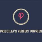 Priscillas Perfect Puppies Profile Picture