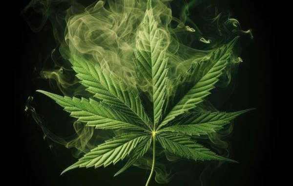 Medical Marijuana and Pain Relief: What Boulder Patients Are Saying