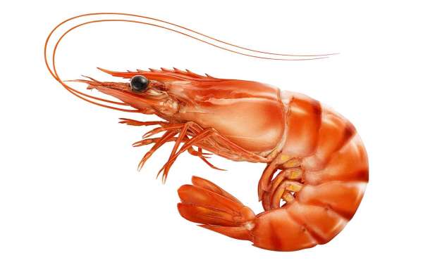 Shrimp Processing Plant Cost to Setup an Unit, Layout & Site Development: Project Report