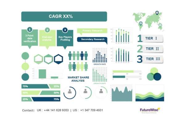 Entity Management Software Market: Key Insights, Challenges & Growth Projections