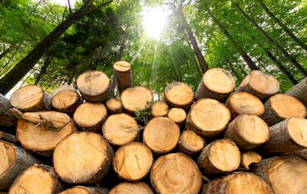 Why Builders Prefer Ipe and Other Exotic Woods From Distributors
