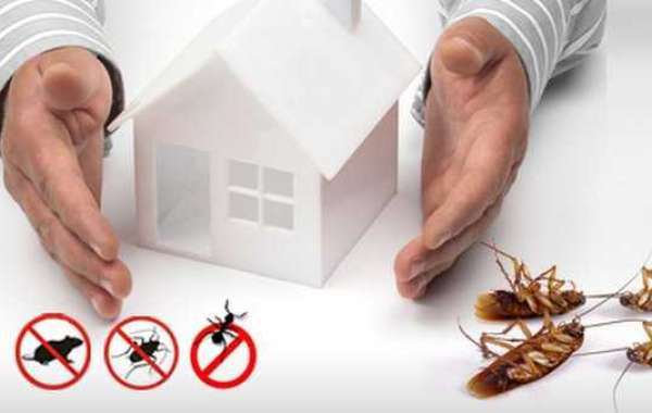 Exterminator & Pest Control Near Me: What to Expect