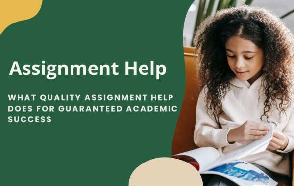 How Professional Assignment Help Guarantees Better Performance