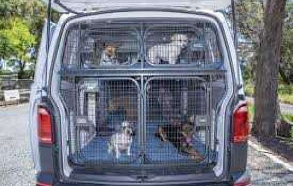 A Complete Guide to Moving Your Pet Across Cities or Borders