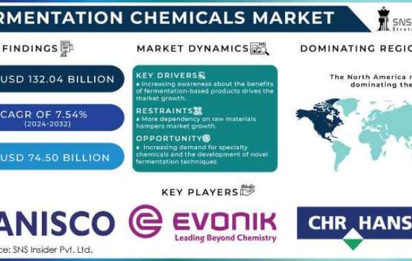 Impact of Green Chemistry and Bioprocessing Trends on the Fermentation Chemicals Market