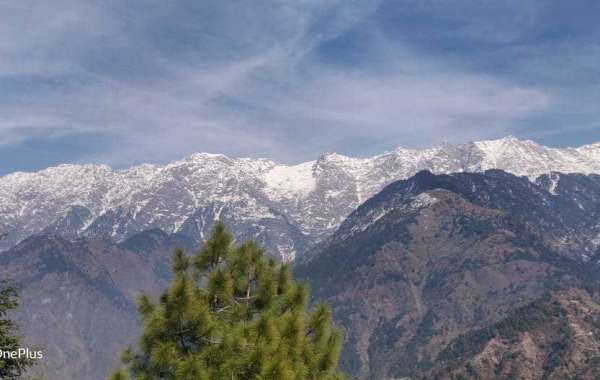 Adventure Awaits: Ultimate Rishikesh Mussoorie Tour Packages