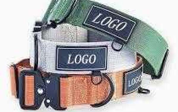 Elevating Pet Accessory Distribution Strategies