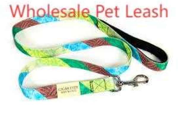 Empower Your Store with Quality Pet Essentials