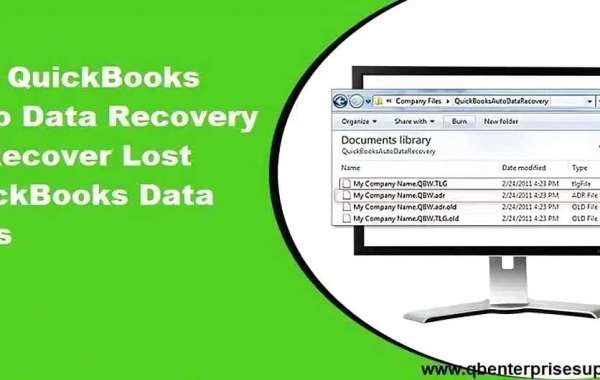 Step-by-Step Guide to QuickBooks Auto Data Recovery