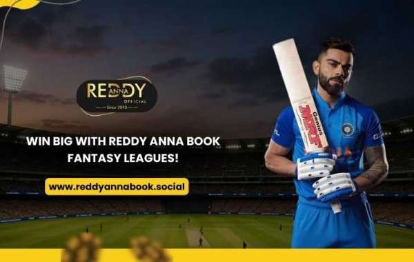 Unleash Your Sports Strategy: Win Big with Reddy Anna Fantasy Leagues!