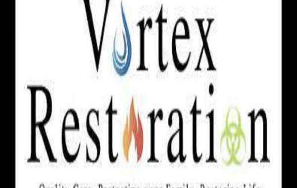 What kind of warranties or guarantees do reputable mold remediation companies near me offer?