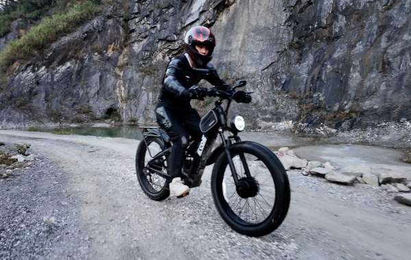 EcoE Bikes: Unveiling the Best Electric Dirt Bikes